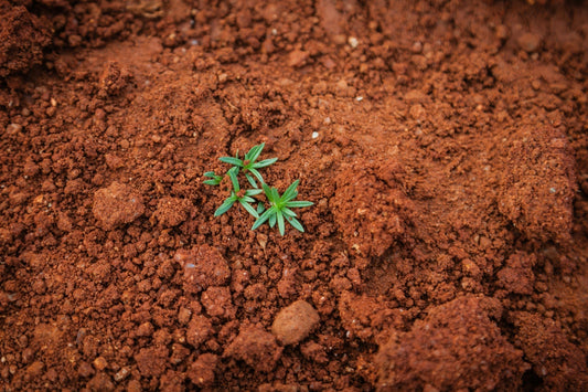 How Soil Movement Affects Your Home’s Foundations