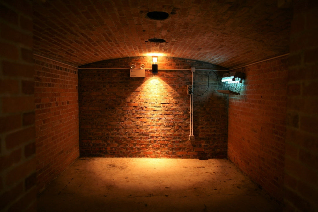 Why Build an Underground Room? – Benefits & Long-Term Value